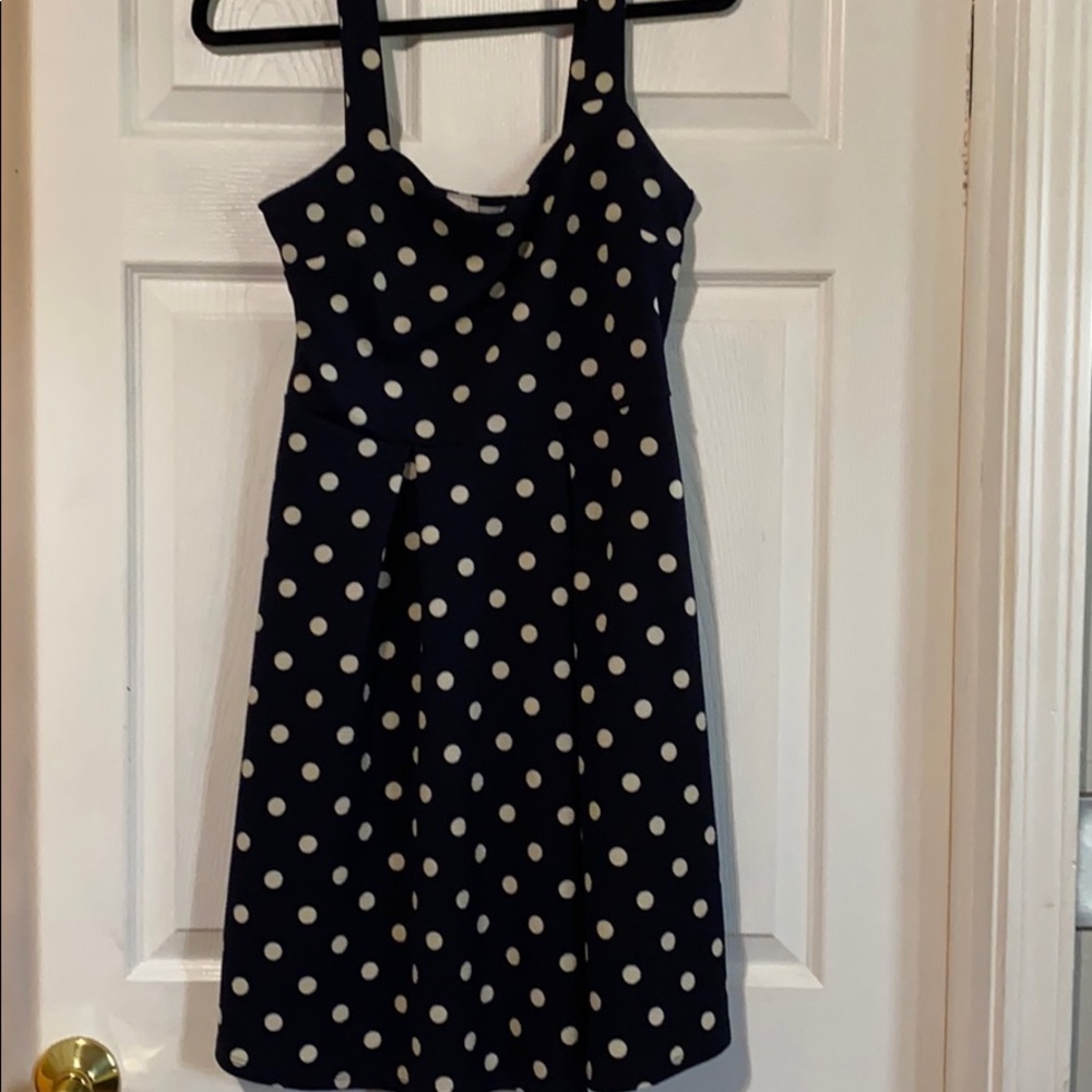 Polkadot blue and white dress.  From Stitch fix